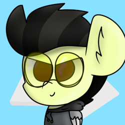 Size: 720x720 | Tagged: safe, artist:nhale, oc, oc only, oc:lionard, pegasus, pony, big ears, black mane, brown eyes, clothes, glasses, logo, male, pegasus oc, ponysona, stallion