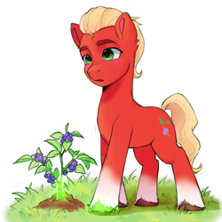 Size: 2048x2048 | Tagged: safe, artist:xiaowu07, sprout cloverleaf, earth pony, pony, g5, cute, earth pony magic, glowing, glowing hooves, high res, magic, male, plant, simple background, solo, stallion, white background