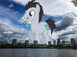 Size: 1080x810 | Tagged: safe, anonymous editor, artist:dashiesparkle, edit, lucky clover, earth pony, pony, g4, arkansas, background pony, giant pony, giant/macro earth pony, highrise ponies, irl, little rock, macro, male, mega giant, open mouth, photo, ponies in real life, raised hoof, smiling, solo, stallion
