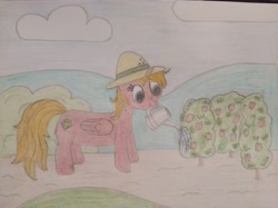 Size: 4032x3016 | Tagged: safe, anonymous artist, sweet pepper, pegasus, pony, 4chan, bush, cloud, female, food, hat, hill, mare, mouth hold, outdoors, pepper, plant, solo, traditional art, watering, watering can