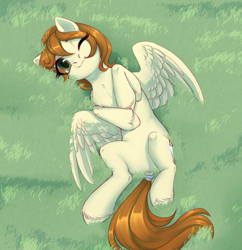 Size: 3000x3100 | Tagged: safe, artist:nika-rain, oc, oc only, pegasus, pony, commission, cute, grass, high res, ocbetes, pegasus oc, sketch, solo, ych result