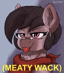 Size: 1191x1353 | Tagged: safe, artist:reddthebat, oc, oc only, oc:number nine, earth pony, pony, bust, chest fluff, ear fluff, earth pony oc, female, lidded eyes, mare, neckerchief, solo, text, tongue out