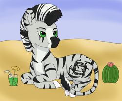 Size: 4096x3390 | Tagged: safe, artist:maxud, oc, oc only, oc:simon jarrett, zebra, cactus, drink, ear fluff, lying down, prone, sand, solo, unshorn fetlocks, zebra oc