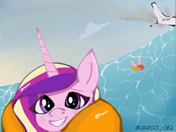 Size: 1065x803 | Tagged: safe, artist:jarco_082, princess cadance, alicorn, pony, g4, accident, meme, ocean, plane, ponified meme, selfie, spanish, water