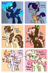 Size: 1200x1800 | Tagged: safe, artist:rainbowrocksadopts, oc, oc only, oc:apple bread pudding, oc:apple petals, oc:celestial morning, oc:elegant quisine, oc:ice cream dreams, oc:twister blast, earth pony, pegasus, pony, amputee, bow, chest fluff, clothes, ear piercing, earring, earth pony oc, female, flower, flower in hair, freckles, frown, hair bow, jewelry, male, mare, necklace, next generation, offspring, parent:applejack, parent:big macintosh, parent:caramel, parent:cheese sandwich, parent:flash sentry, parent:fluttershy, parent:pinkie pie, parent:rainbow dash, parent:rarity, parent:soarin', parent:thunderlane, parent:twilight sparkle, parents:carajack, parents:cheesepie, parents:flashlight, parents:fluttermac, parents:rarilane, parents:soarindash, peg leg, pegasus oc, piercing, prosthetic leg, prosthetic limb, prosthetics, smiling, stallion, stubble, sweater