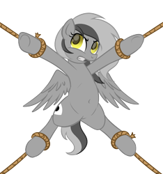 Size: 1124x1200 | Tagged: safe, artist:arshe12, artist:datte-before-dawn, edit, oc, oc only, oc:graeyscale, pegasus, pony, belly, belly button, bondage, featureless crotch, female, rope, simple background, solo, spread eagle, spread legs, spreading, transparent background, wings
