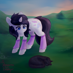 Size: 3000x3000 | Tagged: safe, artist:ragama lozkur, oc, oc only, cat, pony, unicorn, high res, solo