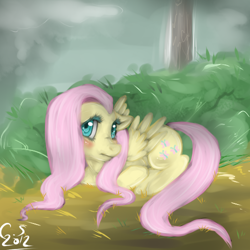Size: 500x500 | Tagged: safe, artist:acidiic, fluttershy, pegasus, pony, g4, 2012, blushing, bush, female, looking at you, lying down, mare, outdoors, partially open wings, prone, solo, tree, wings