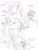 Size: 1100x1456 | Tagged: safe, artist:baron engel, applejack, fluttershy, pinkie pie, princess celestia, rainbow dash, rarity, twilight sparkle, alicorn, earth pony, pegasus, unicorn, anthro, g4, breasts, cleavage, female, mane six, mare, medicine, monochrome, nurse outfit, pencil drawing, sponge, traditional art, twilight sparkle (alicorn)
