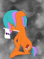 Size: 864x1152 | Tagged: safe, artist:script singer, oc, oc only, oc:script singer, earth pony, pony, earth pony oc, flag, solo