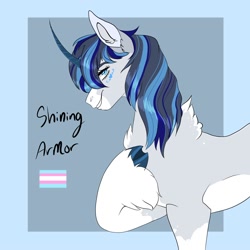 Size: 2000x2000 | Tagged: safe, artist:inisealga, shining armor, pony, unicorn, g4, chest fluff, coat markings, colored hooves, facial markings, headcanon, high res, markings, neck fluff, pride, pride flag, redesign, socks (coat markings), solo, transgender, transgender pride flag