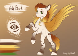 Size: 1920x1398 | Tagged: safe, artist:klarapl, oc, oc only, pegasus, pony, belly, colored, ear markings, female, gradient background, gradient mane, gradient tail, leg markings, leg stripes, mare, no pupils, pegasus oc, rearing, reference sheet, sketch, solo, spread wings, stripes, tail, unshorn fetlocks, wings