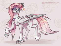 Size: 4000x3000 | Tagged: safe, artist:greenmaneheart, oc, oc:hibiscus, classical hippogriff, hippogriff, female, hippogriff oc, solo