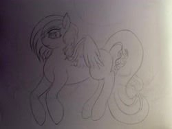 Size: 4032x3024 | Tagged: safe, artist:darkini von blessy, pegasus, pony, drawing, happy, lineart, monochrome, pencil drawing, sketch, sketchbook, solo, spread wings, traditional art, wings