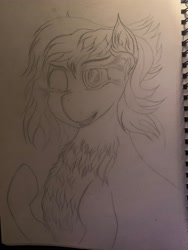 Size: 3024x4032 | Tagged: safe, artist:darkini von blessy, oc, oc only, pony, chest fluff, happy, lineart, monochrome, one eye closed, pencil drawing, pony oc, pose, sketch, sketchbook, smiling, solo, traditional art, wink