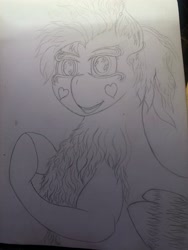 Size: 3024x4032 | Tagged: safe, artist:darkini von blessy, oc, oc only, pegasus, pony, chest fluff, happy, heart, lineart, monochrome, pegasus oc, pencil drawing, pony oc, pose, sketch, sketchbook, smiling, solo, traditional art