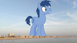 Size: 3840x2160 | Tagged: safe, anonymous editor, artist:cloudy glow, edit, blues, noteworthy, earth pony, pony, g4, background pony, beach, california, giant pony, high res, highrise ponies, irl, los angeles, macro, male, photo, ponies in real life, smiling, solo, stallion, story included, venice beach