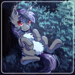 Size: 3000x3000 | Tagged: safe, artist:lonelyghost, oc, oc:dreaming star, bat pony, bat pony unicorn, hybrid, pony, unicorn, bat pony oc, belly, belly fluff, chest fluff, commission, cute, fangs, featureless crotch, grass, grass field, high res, horn, lying down, male, moonlight, night, ocbetes, on back, outdoors, pale belly, red eyes, solo, stallion, tail, tail between legs, white belly