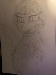 Size: 3024x4032 | Tagged: safe, artist:darkini von blessy, oc, oc only, earth pony, pony, boop, chest fluff, collar, drawing, earth pony oc, hairpin, happy, lineart, messy mane, monochrome, pencil drawing, short hair, sketch, sketchbook, smiling, solo, traditional art
