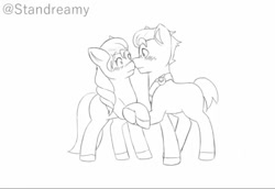 Size: 800x551 | Tagged: safe, artist:standreamy, hitch trailblazer, sunny starscout, earth pony, pony, g5, blushing, boop, duo, duo male and female, female, holding hooves, male, mare, nose to nose, nose wrinkle, noseboop, ship:starblazer, shipping, shy, simple background, stallion, straight, white background