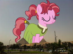Size: 2048x1530 | Tagged: safe, anonymous editor, artist:charity-rose, edit, pepperberry (g4), earth pony, pony, g4, background pony, cairo, clothes, egypt, eyes closed, female, giant pony, giantess, highrise ponies, irl, macro, mare, photo, ponies in real life, smiling, solo, somnambula resident