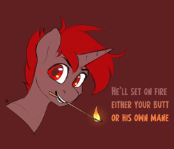 Size: 2176x1872 | Tagged: safe, artist:jewellier, oc, oc only, oc:hardy, alicorn, pony, bust, fire, looking at you, male, match, portrait, pyromania, requested art, stallion