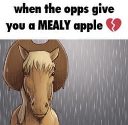 Size: 750x735 | Tagged: safe, artist:winterclover, applejack, earth pony, horse, pony, g4, hat, hoers, looking at you, man i'm so hungry / how hungry, meme, rain, realistic, solo, text