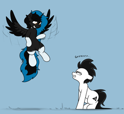 Size: 2999x2756 | Tagged: safe, artist:vipy, oc, oc only, oc:vipy, alicorn, earth pony, pony, alicorn oc, duo, earth pony oc, high res, horn, simple background, wings