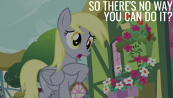 Size: 1920x1080 | Tagged: safe, edit, edited screencap, editor:quoterific, screencap, derpy hooves, pegasus, pony, g4, slice of life (episode), female, mare, open mouth, solo