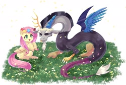 Size: 1803x1210 | Tagged: safe, artist:plusplus_pony, discord, fluttershy, draconequus, pegasus, pony, g4, all fours, candy, duo, duo male and female, eyes closed, female, floral head wreath, flower, folded wings, food, grass, male, mare, mismatched wings, open mouth, open smile, raised hoof, ship:discoshy, shipping, sitting, smiling, spread wings, straight, wings