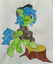 Size: 3025x3683 | Tagged: safe, artist:spearmint, oc, oc only, oc:spearmint, pegasus, pony, high res, solo, traditional art, tree stump