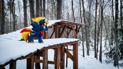 Size: 1192x670 | Tagged: safe, artist:mgrdash, oc, oc only, oc:firesky, pegasus, pony, endangering plushies, forest, irl, photo, plushie, ponies in real life, snow, solo, winter