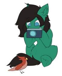 Size: 1541x1886 | Tagged: safe, artist:beardie, oc, bird, earth pony, pony, bring me the horizon, camera, commission, ear fluff, earth pony oc, hoof hold, male, ponified, simple background, sitting, solo, stallion, tom sykes, transparent background