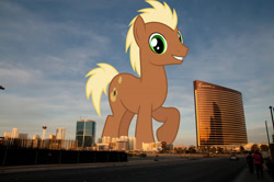 Size: 2048x1360 | Tagged: safe, artist:chainchomp2 edits, edit, editor:jaredking779, meadow song, earth pony, pony, background pony, giant pony, giant/macro earth pony, highrise ponies, irl, las vegas, macro, male, mega giant, nevada, photo, ponies in real life, solo, stallion, story included