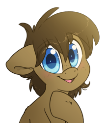 Size: 2415x2739 | Tagged: safe, artist:fluffyxai, oc, oc only, oc:spirit wind, earth pony, pony, cute, earth pony oc, high res, looking at you, male, simple background, smiling, solo, stallion, transparent background