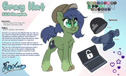 Size: 4000x2400 | Tagged: safe, artist:fluffyxai, oc, oc only, oc:gray hat, earth pony, pony, g5, accessory, earth pony oc, female, g5 oc, mare, reference sheet, simple background, solo, transparent background