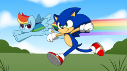 Size: 6032x3344 | Tagged: safe, artist:kittyrosie, rainbow dash, pegasus, pony, g4, absurd resolution, clothes, cloud, crossover, fast, female, flying, gloves, grass, male, mare, race, rainbow, running, shoes, sky, sonic the hedgehog, sonic the hedgehog (series)