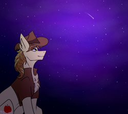 Size: 2600x2322 | Tagged: safe, artist:tocik, braeburn, earth pony, pony, g4, clothes, commission, hat, high res, looking up, male, night, shooting star, sitting, smiling, solo, stallion, two toned mane, vest, ych result