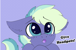 Size: 1280x846 | Tagged: safe, artist:pegamutt, oc, oc only, oc:murphy, bat pony, pony, animated, bat pony oc, cute, floppy ears, gif, head pat, open mouth, pat, pet request, pony oc, purple background, simple background, solo, speech bubble, text