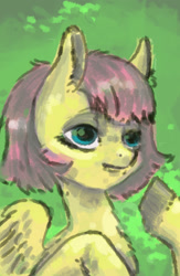 Size: 1248x1920 | Tagged: safe, artist:kovoranu, fluttershy, oc, pegasus, pony, g4, bust, pegasus oc, portrait, short hair, solo