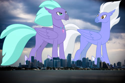 Size: 2048x1365 | Tagged: safe, anonymous editor, artist:dashiesparkle, edit, seaspray, sky beak, classical hippogriff, hippogriff, g4, duo, florida, giant hippogriff, highrise ponies, irl, jewelry, macro, male, mega giant, miami, necklace, photo, ponies in real life, story included