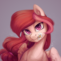Size: 1500x1500 | Tagged: safe, artist:jewellier, oc, oc only, pegasus, pony, bust, commission, cute, daisy (flower), female, flower, flower in mouth, gray background, looking at you, mare, mouth hold, pegasus oc, portrait, simple background, solo