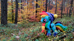 Size: 1192x670 | Tagged: safe, artist:mgrdash, rainbow dash, pegasus, pony, g4, autumn, forest, outerwear, photo, solo