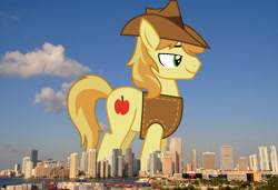 Size: 2048x1399 | Tagged: safe, anonymous editor, artist:frownfactory, edit, braeburn, earth pony, pony, g4, clothes, florida, giant pony, giant/macro earth pony, hat, highrise ponies, irl, macro, male, mega giant, miami, photo, ponies in real life, smiling, solo, stallion, vest