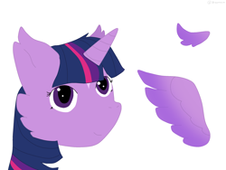 Size: 2224x1668 | Tagged: safe, artist:nightsongthewarrior, twilight sparkle, alicorn, pony, g4, bust, cheek fluff, female, mare, redesign, solo, twilight sparkle (alicorn), wings