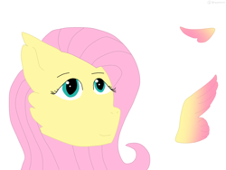 Size: 2224x1668 | Tagged: safe, artist:nightsongthewarrior, fluttershy, pegasus, pony, g4, bust, cheek fluff, colored wings, female, gradient wings, mare, simple background, solo, white background, wings