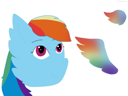 Size: 2224x1668 | Tagged: safe, artist:nightsongthewarrior, rainbow dash, pegasus, pony, g4, bust, cheek fluff, colored wings, female, mare, multicolored wings, rainbow wings, simple background, solo, white background, wings