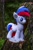 Size: 1440x2160 | Tagged: artist needed, safe, oc, oc only, oc:marussia, pegasus, pony, irl, nation ponies, photo, russia, russian flag, solo