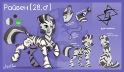 Size: 3190x1865 | Tagged: safe, artist:alrumoon_art, oc, oc only, oc:rayven, pony, zebra, concave belly, male, reference sheet, solo, zebra oc