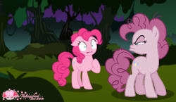 Size: 900x521 | Tagged: safe, artist:muhammad yunus, mean pinkie pie, pinkie pie, earth pony, pony, g4, the mean 6, base used, clone, duality, duo, duo female, everfree forest, female, floppy ears, furious, mare, night, sultry pose, surprised, suspicious, wide eyes